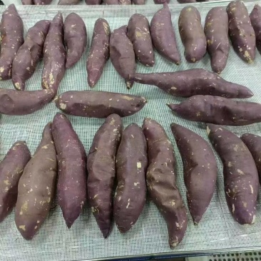红瑶冰薯