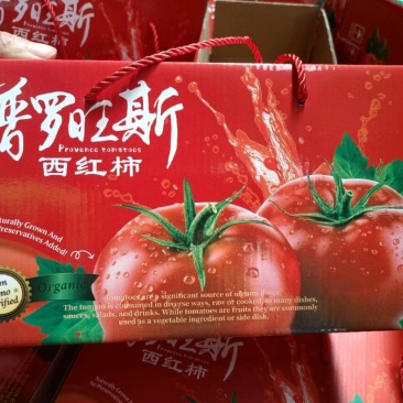普罗旺斯西红柿，大量现货速发，保质保量，欢迎老板选购