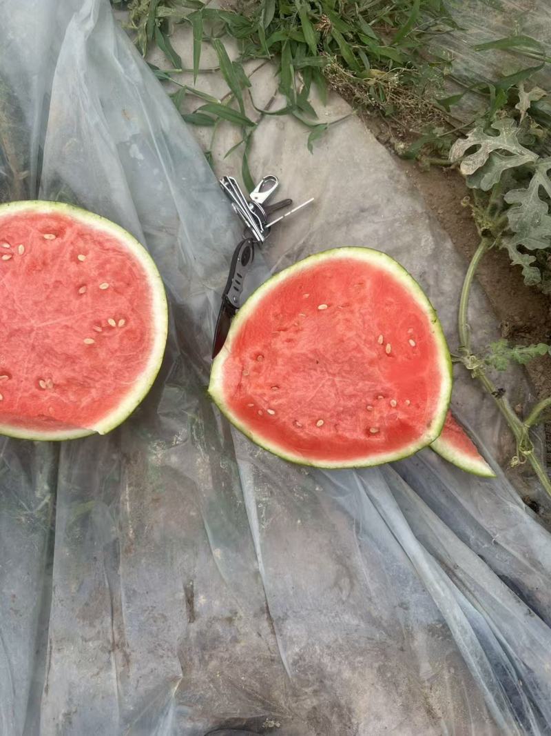 河南夏邑西瓜/无籽美都西瓜品质保证可售后，好货