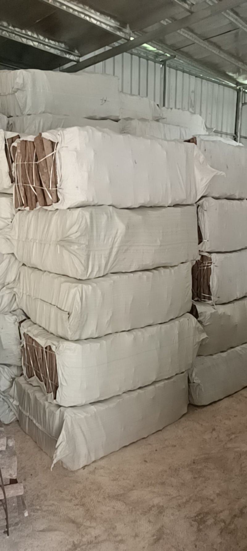 广西深山玉桂