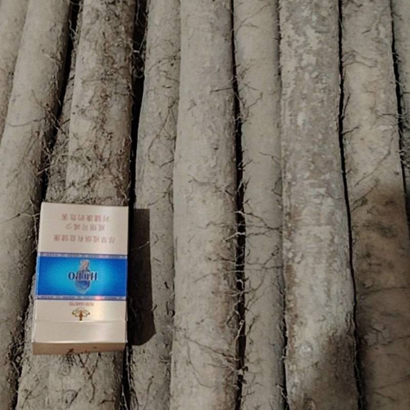 山东省莘县白玉山药大量有货