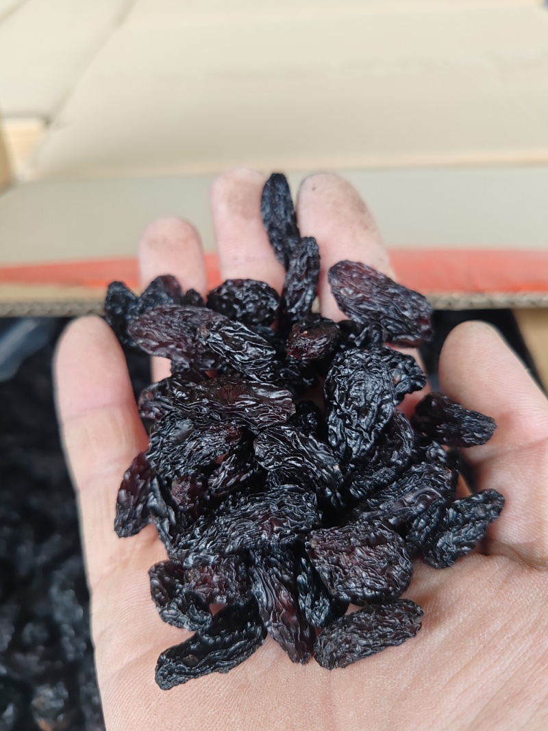 新疆特产吐鲁番葡萄干批发市场，一级黑美人葡萄干
