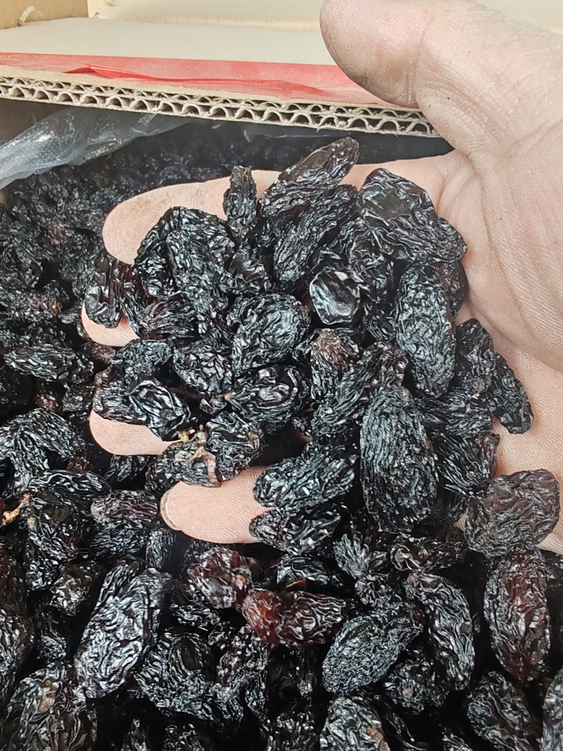 新疆特产吐鲁番葡萄干批发市场，一级黑美人葡萄干