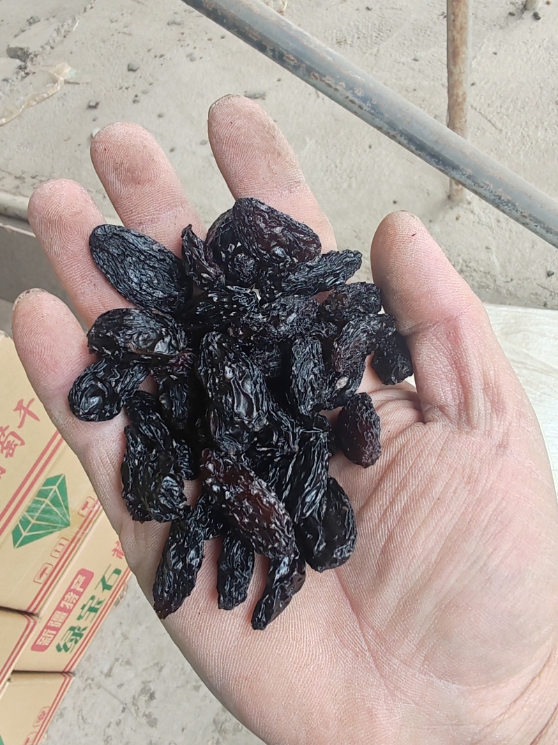 新疆特产吐鲁番葡萄干批发市场，一级黑美人葡萄干