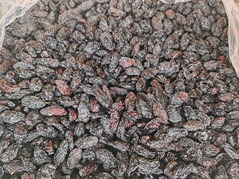 新疆特产吐鲁番葡萄干批发市场，一级黑美人葡萄干