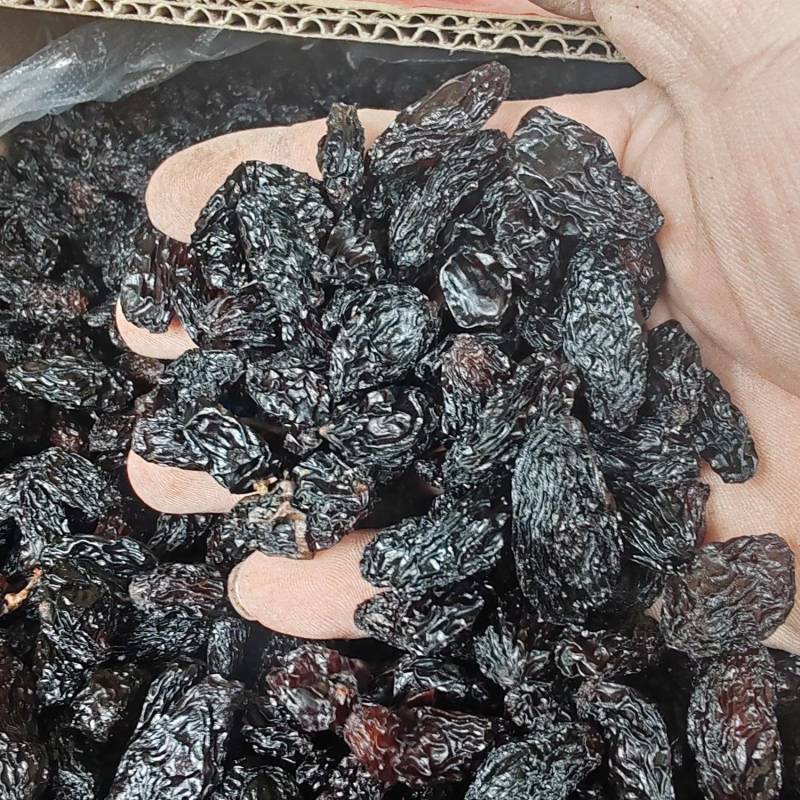 新疆特产吐鲁番葡萄干批发市场，一级黑美人葡萄干