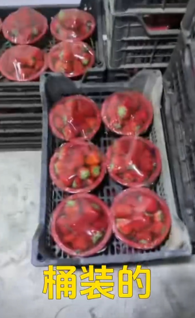 产地直发红颜久久草莓。代办，专业分拣批发，可对接电商商超等
