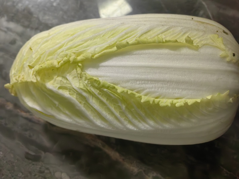 大娃娃菜5000-6000斤