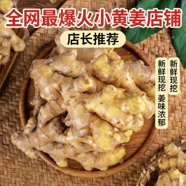 云南小黄姜。大量低价上货，保质保量，一手货源，欢迎联系
