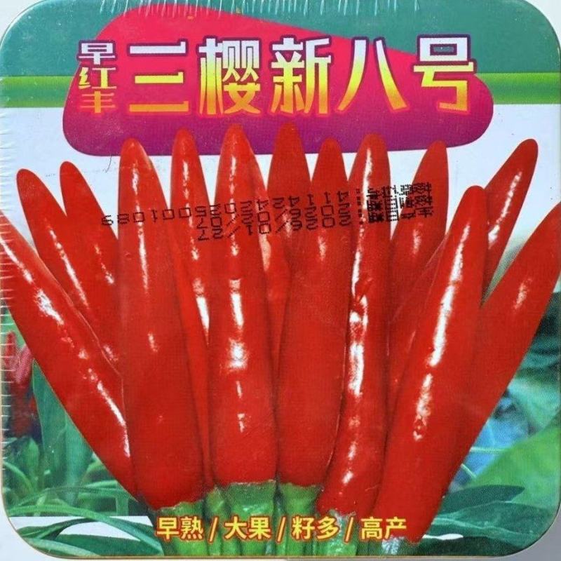 早红丰三樱新八号早熟大果簇生朝天椒种子干鲜两用籽多深红油