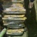 电商通货黄皮甘蔗，品质佳，电商**！自己也在做多多买菜。