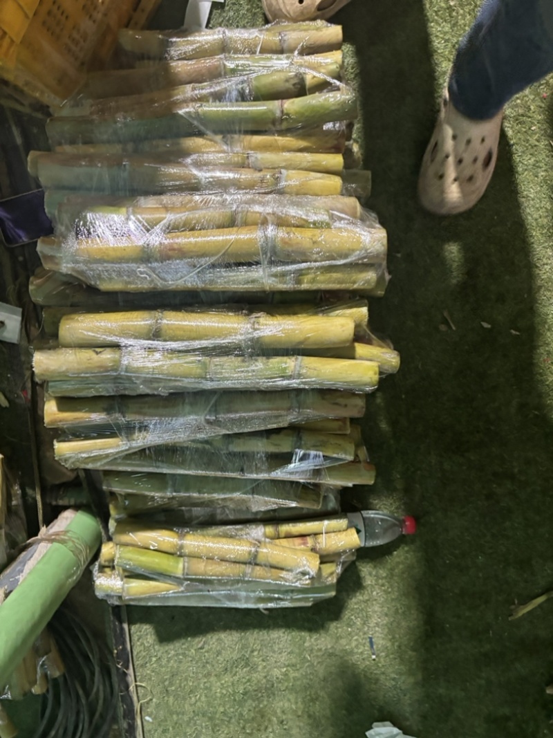 电商通货黄皮甘蔗，品质佳，电商**！自己也在做多多买菜。
