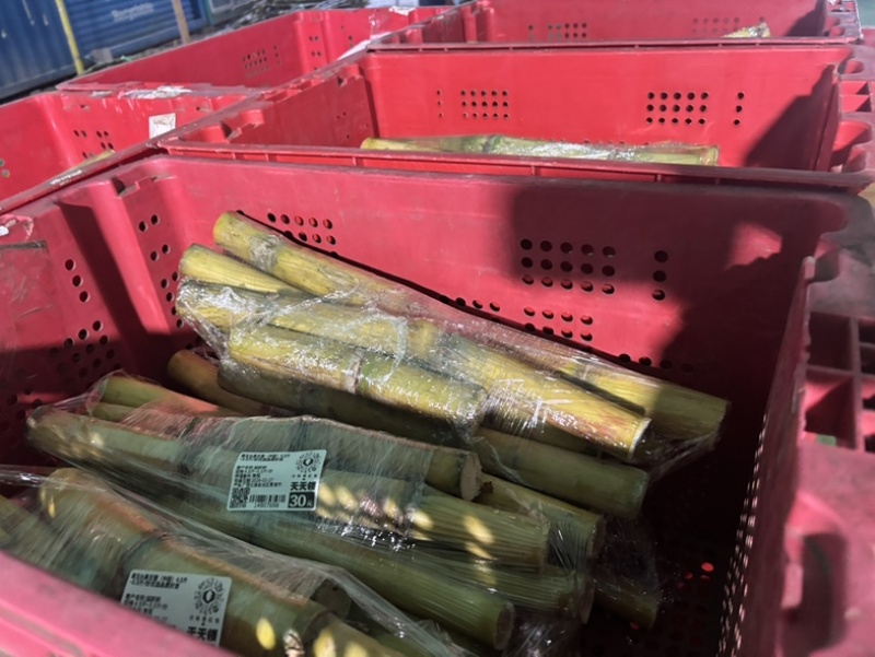 电商通货黄皮甘蔗，品质佳，电商**！自己也在做多多买菜。