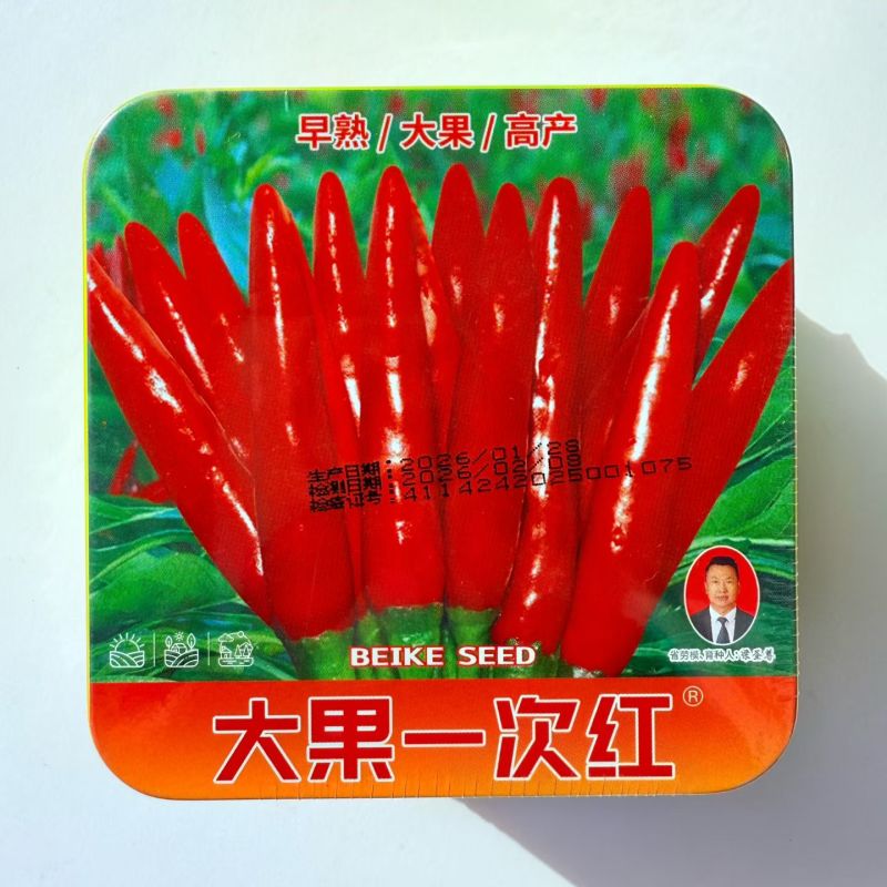 朝天椒种子大果一次红早熟粗生大果深红油亮皮厚籽多抗性好产