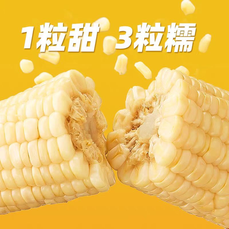 真空鲜食玉米软糯香甜厂家直发保质保量欢迎随时订购