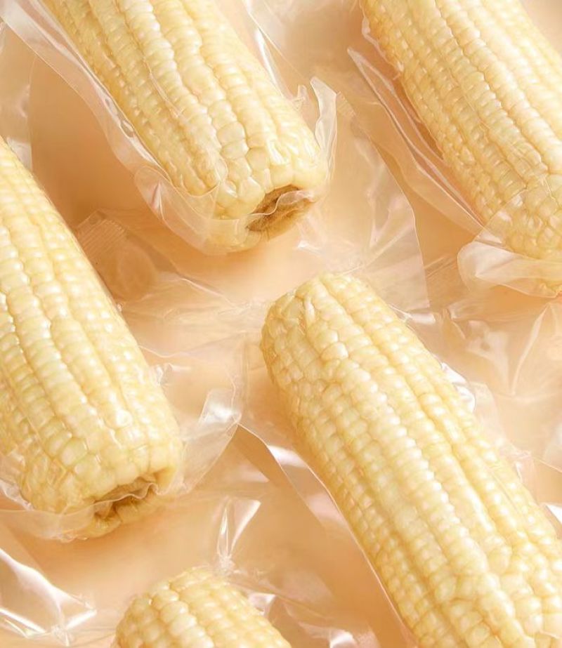 真空鲜食玉米软糯香甜厂家直发保质保量欢迎随时订购