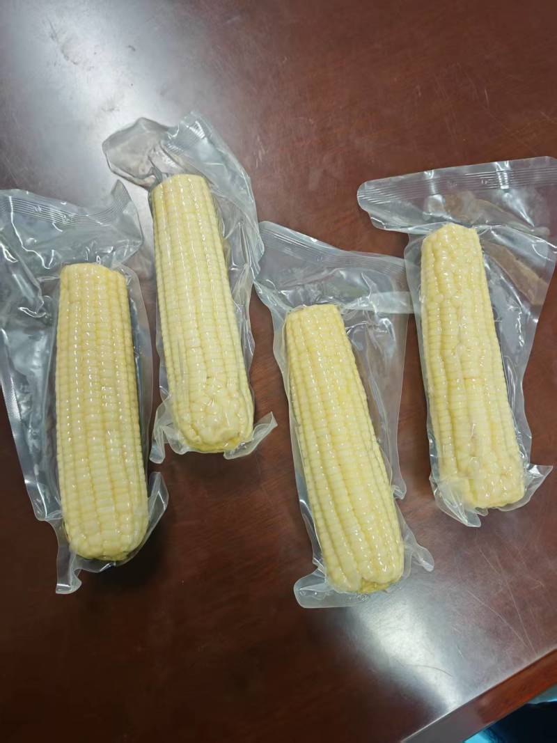 真空鲜食玉米软糯香甜厂家直发保质保量欢迎随时订购