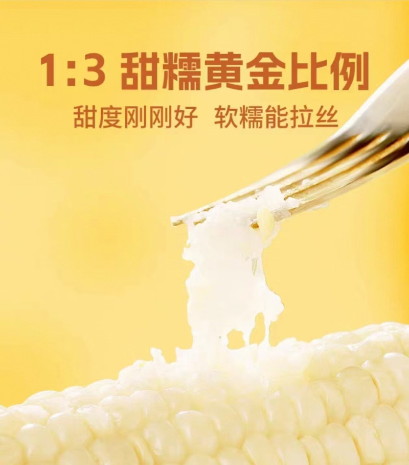 真空鲜食玉米软糯香甜厂家直发保质保量欢迎随时订购