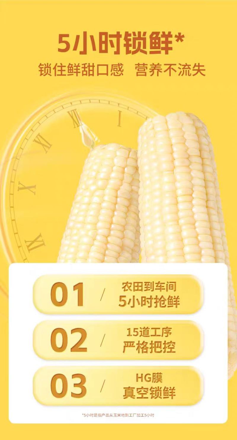 真空鲜食玉米软糯香甜厂家直发保质保量欢迎随时订购