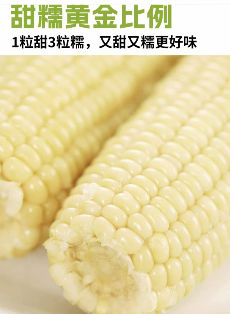 真空鲜食玉米软糯香甜厂家直发保质保量欢迎随时订购
