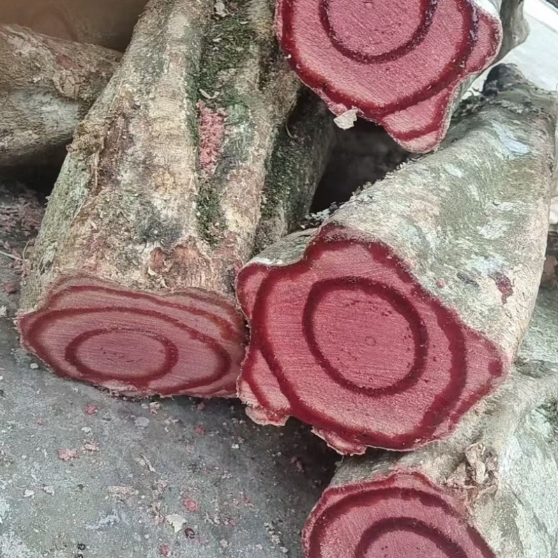 云南产区鸡血藤/新鲜鸡血藤/货源充足/欢迎选购