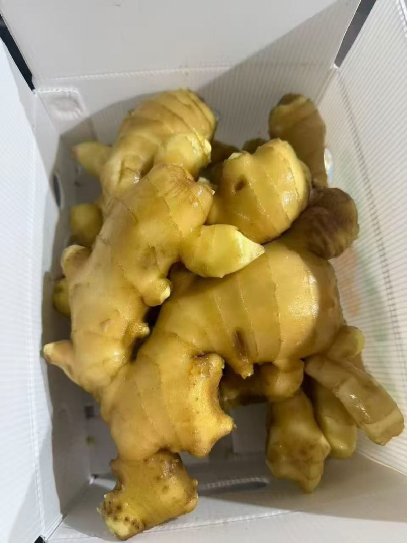 郴州姜常年供货，全国代发现挖现发姜味浓，品质好