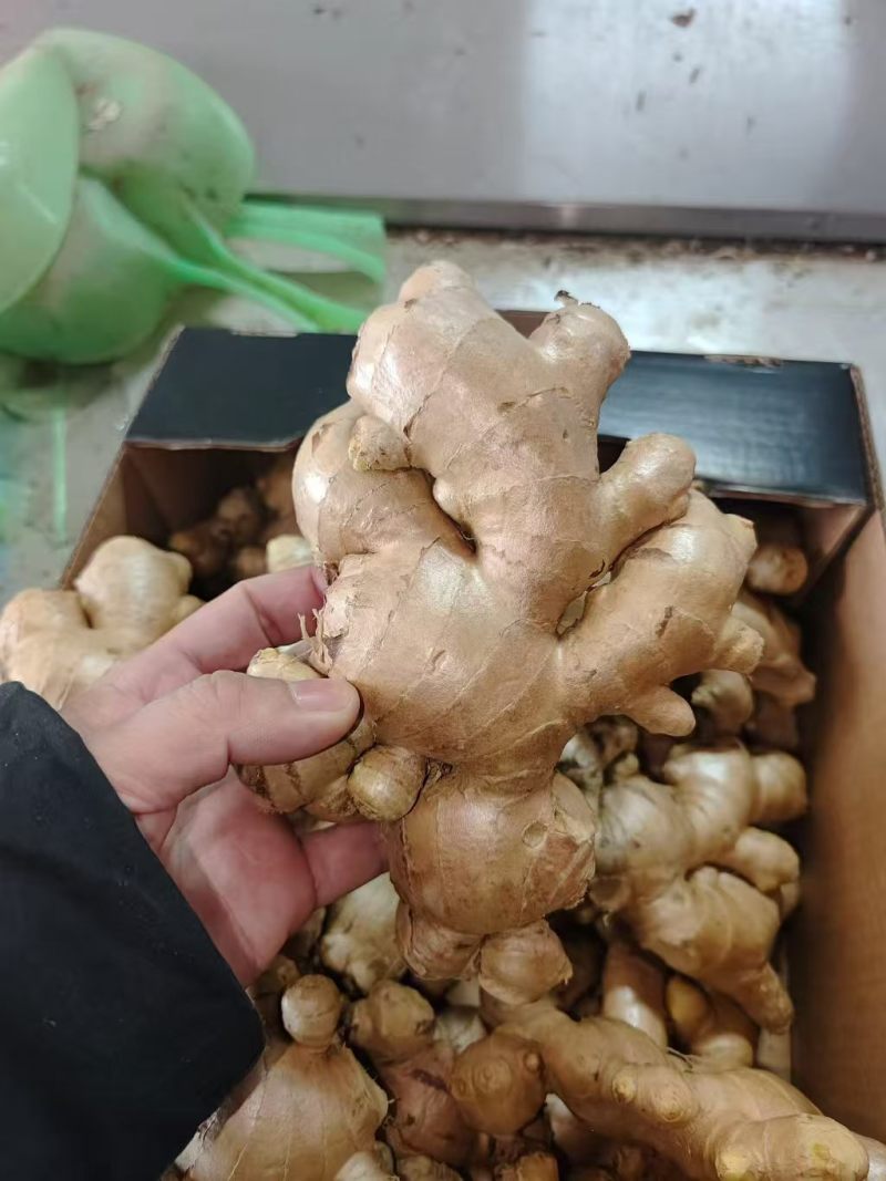 郴州姜常年供货，全国代发现挖现发姜味浓，品质好