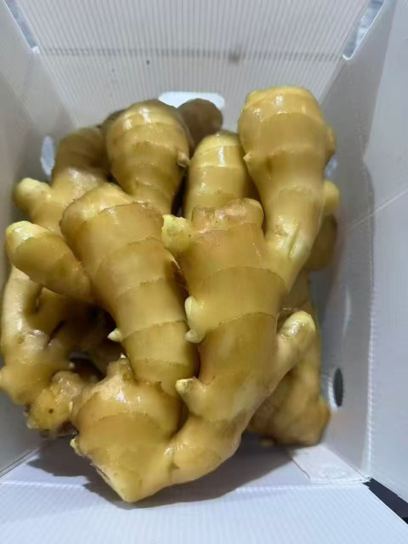 郑重承诺，彬州大黄姜，一手货源，全国发货，坏烂全赔