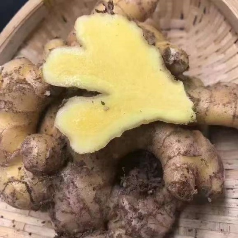 郑重承诺，彬州大黄姜，一手货源，全国发货，坏烂全赔