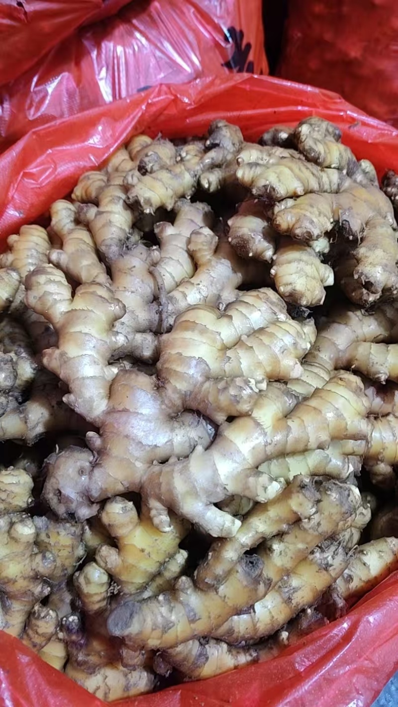 郑重承诺，彬州大黄姜，一手货源，全国发货，坏烂全赔