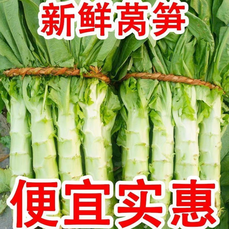 圆叶莴笋，叶好杆子美，无虫无病无空心，需要联系