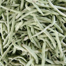 白豆角大量上市货源充足全国各地发货一手货源