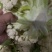 【热卖】精品青梗松花菜种植基地直发保质保量欢迎选购