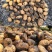 甘肃定西岷县原产地马铃薯土豆