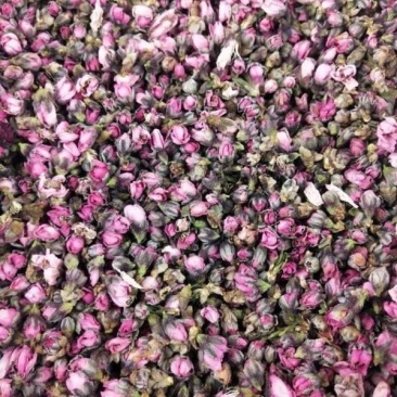 鲜桃花蕾，桃花，桃花茶，桃花粉，桃花干大量供应