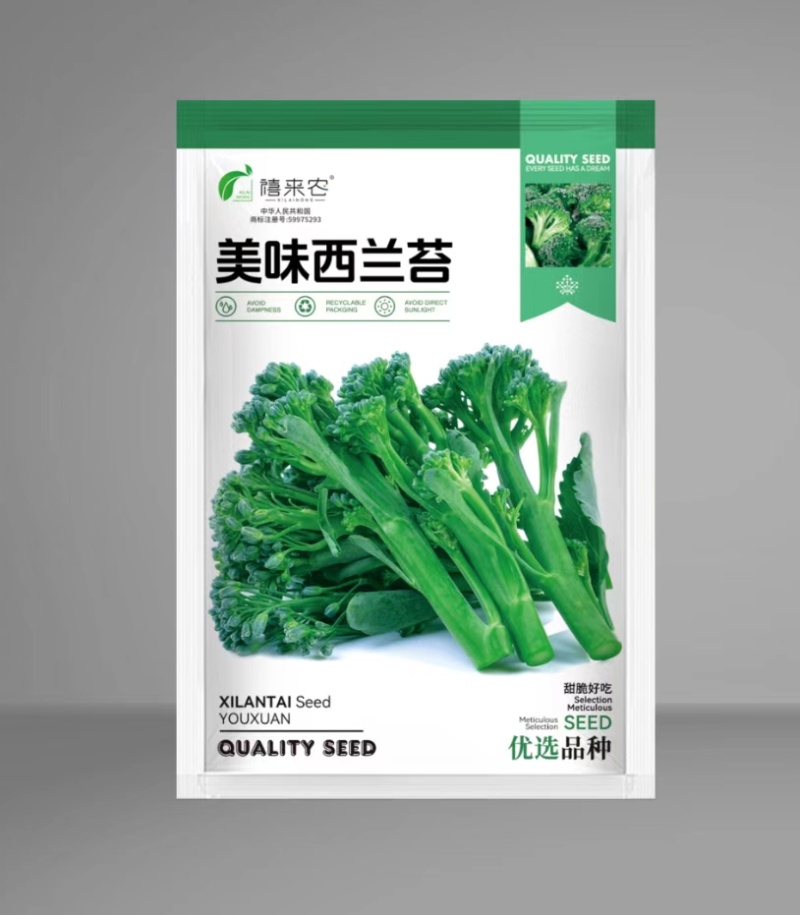 西兰苔种子阳台盆栽蔬菜种子可连续采收耐热耐寒南北均可种植