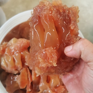 红海蜇头，嘎硼脆
