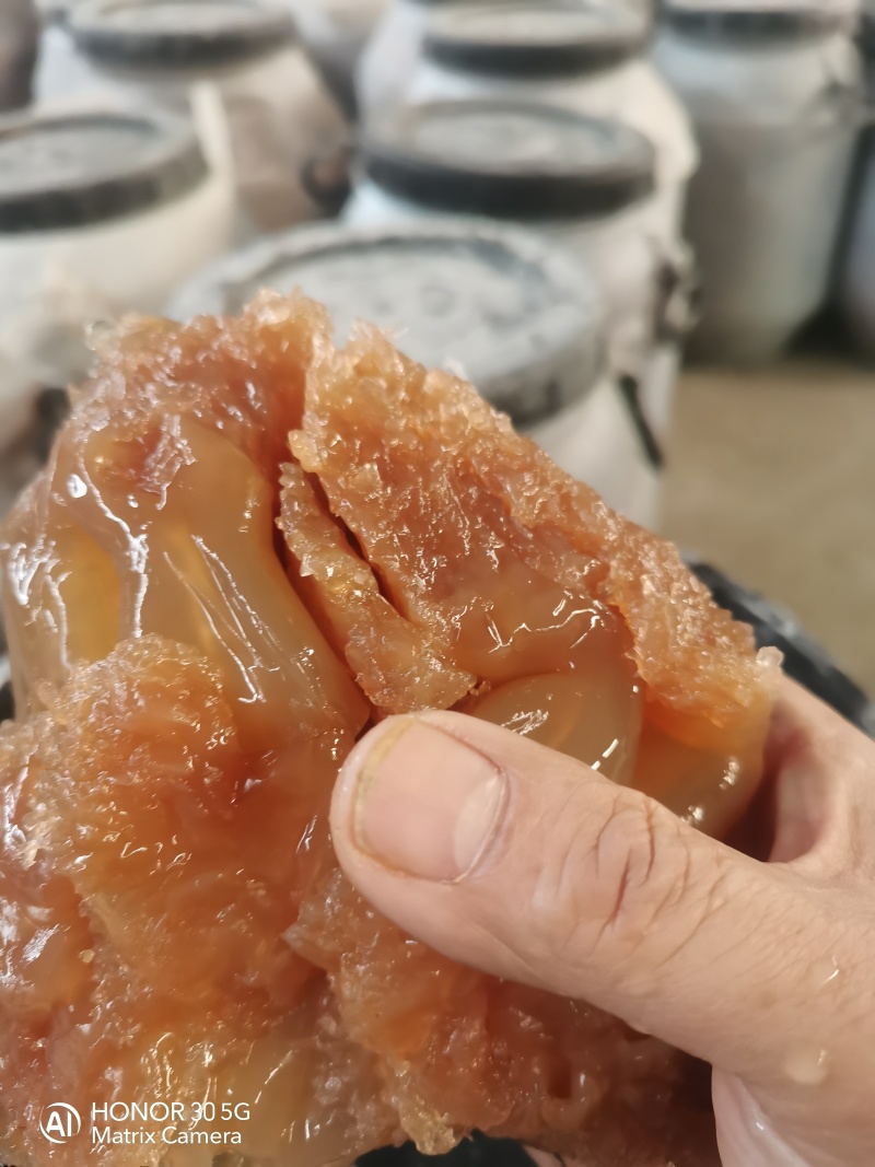 红海蜇头，嘎硼脆
