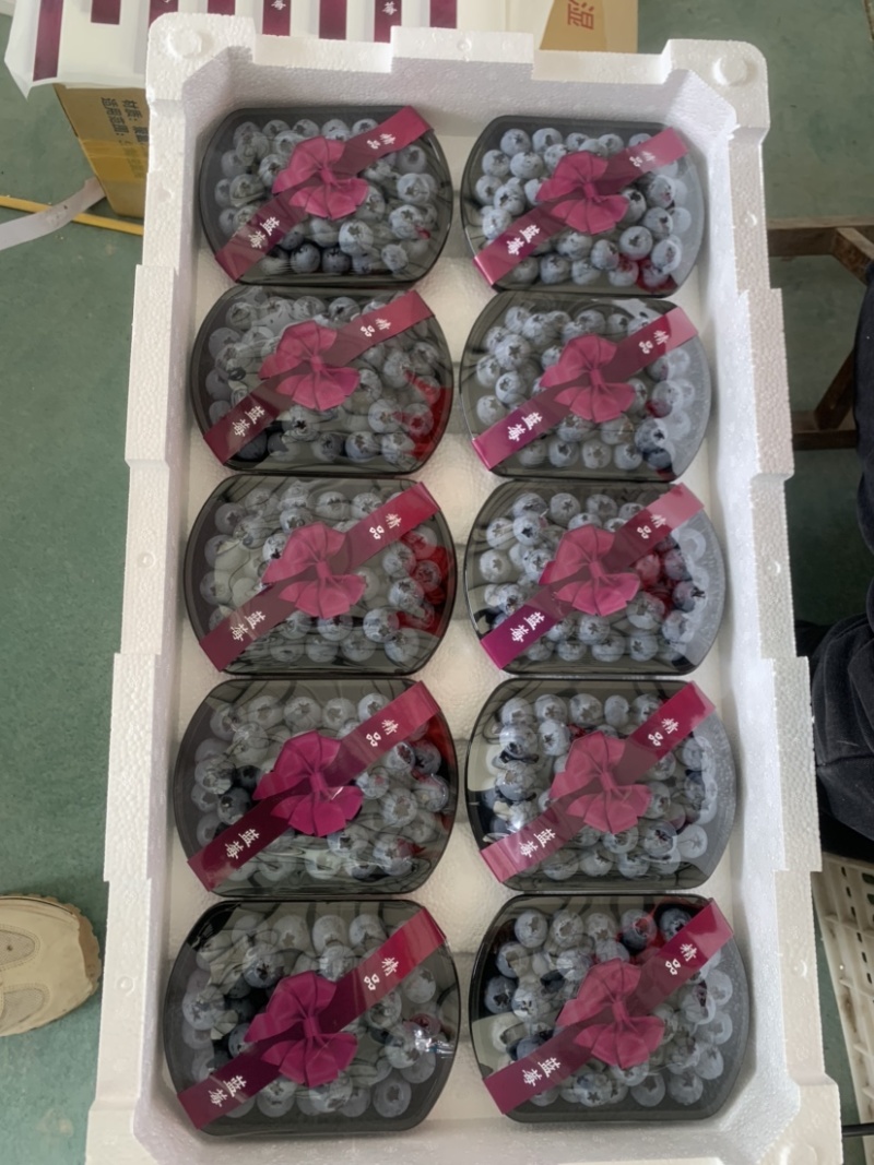 云南花香蓝莓L25山东L11F6蓝莓口感脆甜多汁