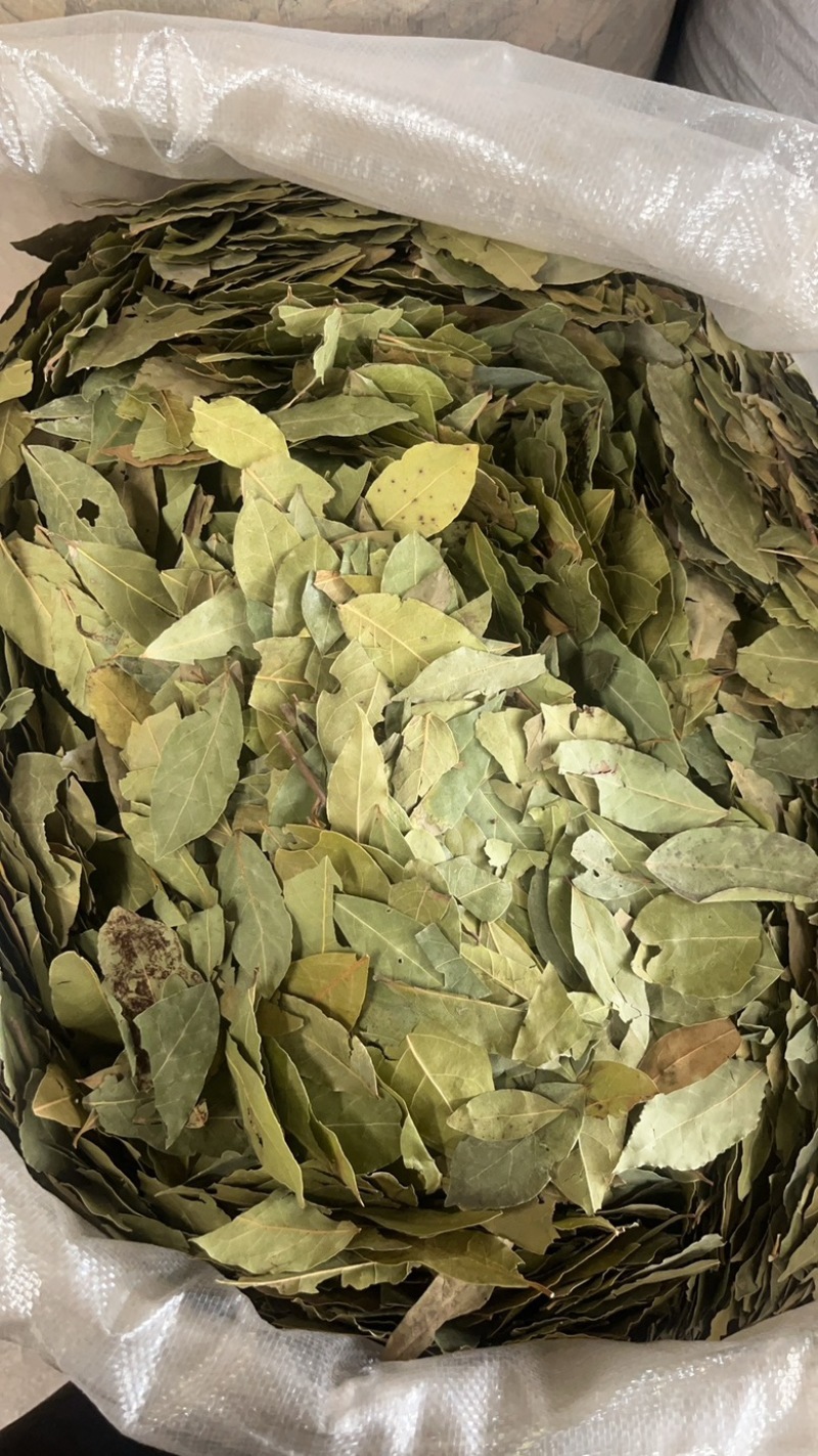 香叶大优惠进口好香叶嘎嘎干