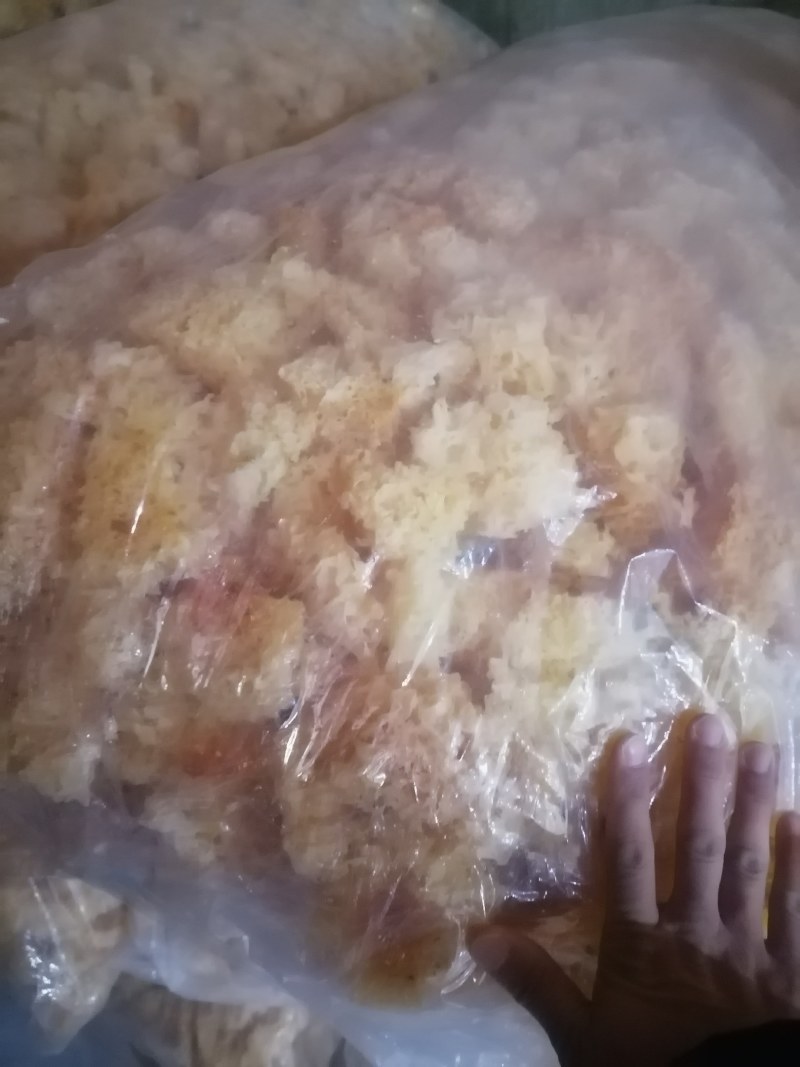 古田银耳，便宜银耳，低价的银耳，银耳块