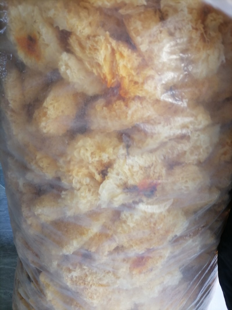 古田银耳，便宜银耳，低价的银耳，银耳块