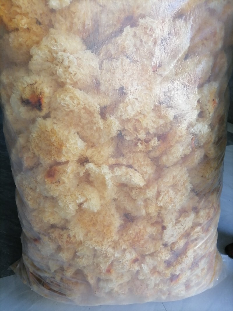 古田银耳，便宜银耳，低价的银耳，银耳块