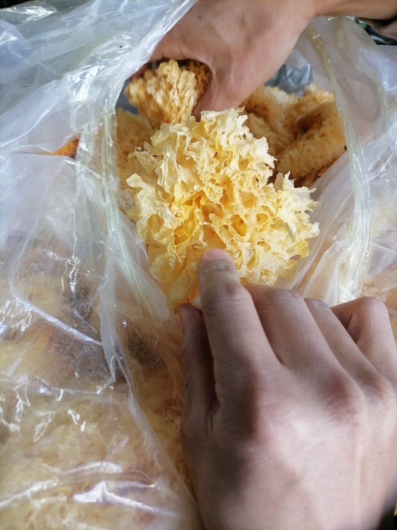 古田银耳，便宜银耳，低价的银耳，银耳块