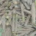 黑皮甘蔗，种苗