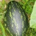 青色香芋南瓜