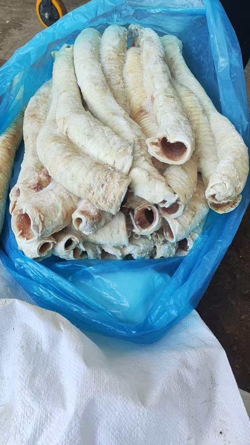 牛气管货源充足，欢迎咨询，价格美丽，来电优