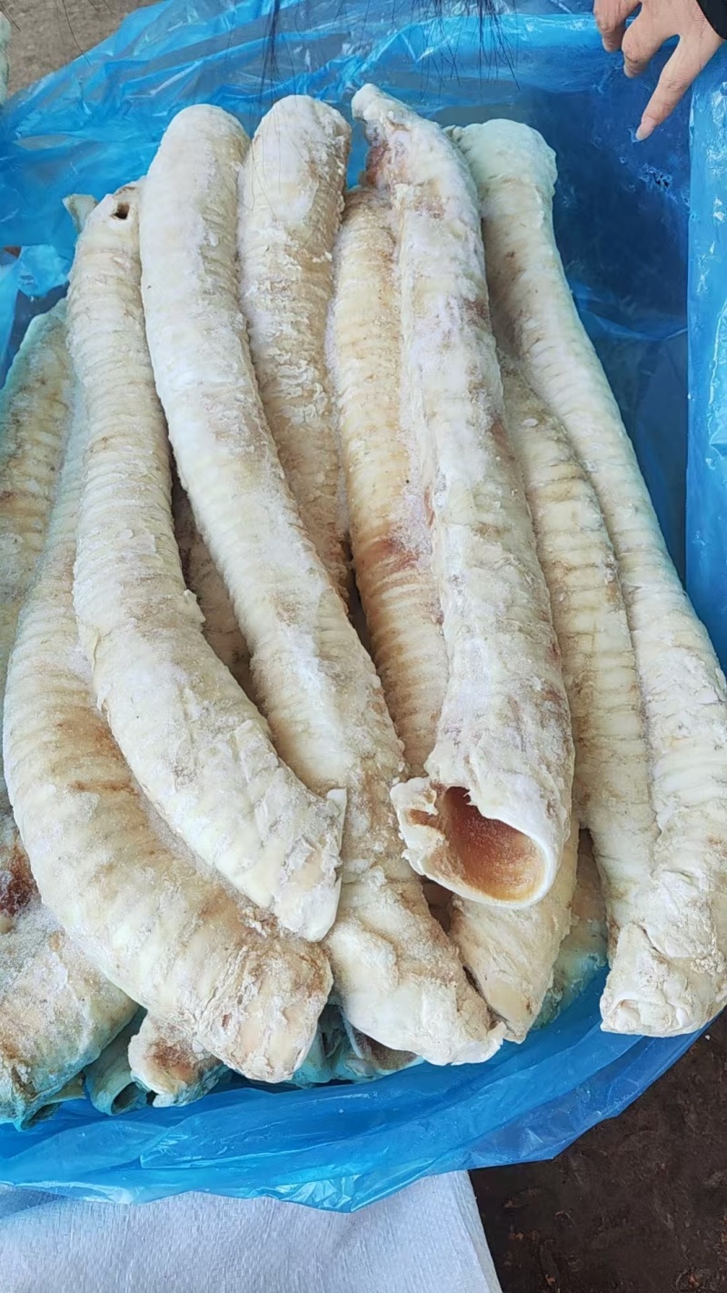 牛气管货源充足，欢迎咨询，价格美丽，来电优