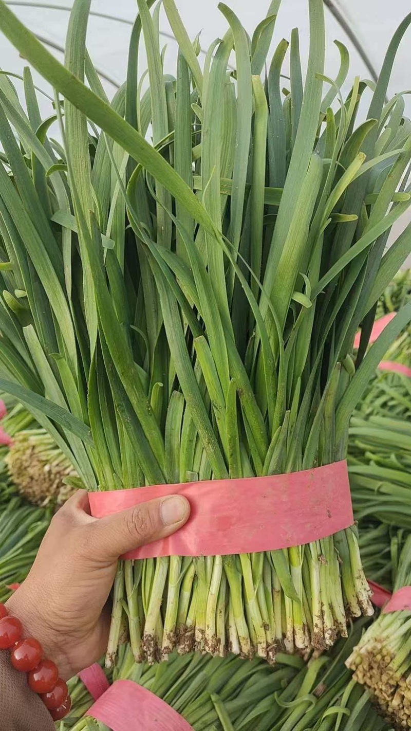 精品二刀，大量有货，各种规格，适合市场电商，加工厂，