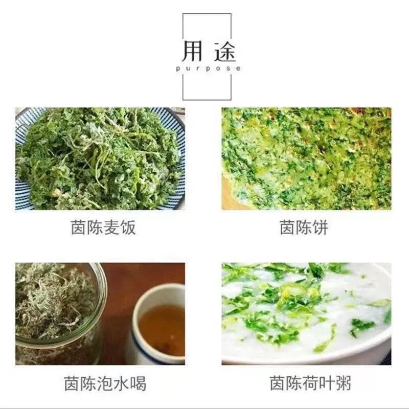 新鲜现采当季正月茵陈承接各大平台商超订单一件也是代发价